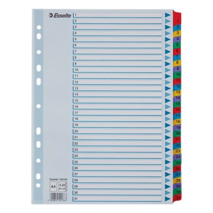 Regiszter ESSELTE Mylar A/4 laminált karton 1-31