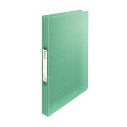 Gyűrűskönyv ESSELTE Colour'Ice A/4 PP 2R 25mm zöld