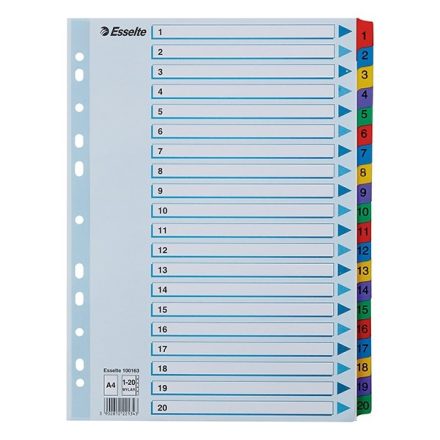 Regiszter ESSELTE Mylar A/4 laminált karton 1-20