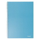 Spirálfüzet vonalas ESSELTE A/5 80 lapos Colour Breeze kék