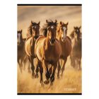 Füzet vonalas STREET A/4 54 lapos Horses margóval