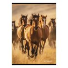 Füzet vonalas STREET A/4 54 lapos Horses margóval