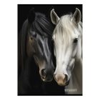 Füzet vonalas STREET A/4 54 lapos Horses margóval