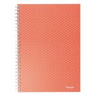 Spirálfüzet vonalas ESSELTE A/5 80 lapos Colour Breeze korall