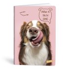 Füzet vonalas LIPAMILL A/4 40 lapos Pets