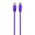 Gembird CAT5e U-UTP Patch Cable 0,5m Purple