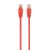 Gembird CAT5e U-UTP Patch Cable 2m Red