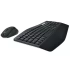 Logitech MK850 Performance wireless keyboard + mouse Black DE