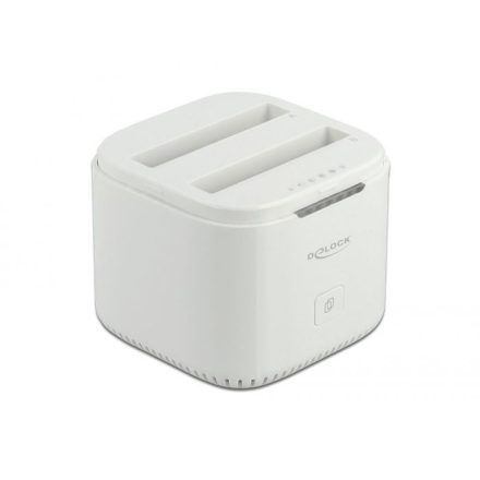 DeLock USB Type-C 3.2 Docking Station for 2 x 2.5? SATA HDD / SSD with Clone Function