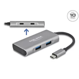   DeLock External USB 3.2 Gen 2 USB Type-C Hub with 2x USB Type-A and 2 x USB Type-C
