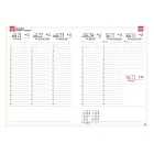 Tanári zsebkönyv REALSYSTEM papírborító A/5 heti akvarell 2026-2027