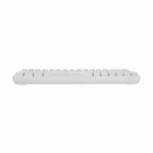 White Shark Ronin RGB Gaming keyboard White US