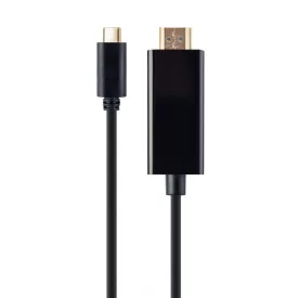   Gembird USB-C male to HDMI-male adapter 4K 30Hz cable 2m Back