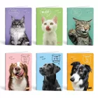 Füzet kockás LIPAMILL A/4 40 lapos Pets
