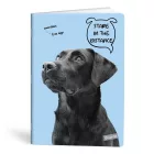 Füzet kockás LIPAMILL A/4 40 lapos Pets