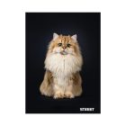 Füzet vonalas STREET A/5 54 lapos Friends margóval