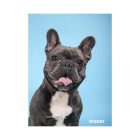 Füzet vonalas STREET A/5 54 lapos Friends margóval