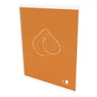 Spirálfüzet kockás LIPAMILL A/4 50 lapos Fluo