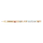 Írószer készlet ASTRA PEN Animals Choco 5 darabos