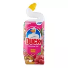 Toalett tisztító gél DUCK forest 750 ml