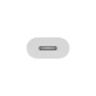 Apple USB-C to Lightning Adapter