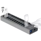 DeLock 13-port USB Hub Black