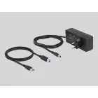 DeLock 13-port USB Hub Black
