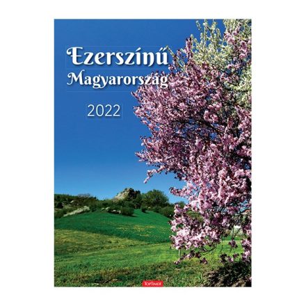 Falinaptár TOPTIMER T093 310x420mm álló Ezerszínű Magyarország 2023.