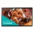 Samsung 24" LH24QBCEBGCXEN LED Display
