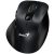 Genius Ergo 9000S Wireless mouse Black