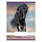 Füzet vonalas NEBULO A/4 32 lapos 81-32 L-Design 12 darabos