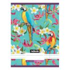 Füzet vonalas NEBULO A/4 32 lapos 81-32 L-Design 12 darabos