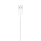 Apple Lightning to USB Cable 1m White
