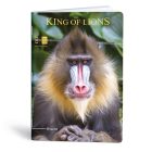 Füzet vonalas LIPAMILL A/4 40 lapos King of lions