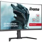iiyama 31,5" G-Master GCB3280QSU-B2 LED Curved