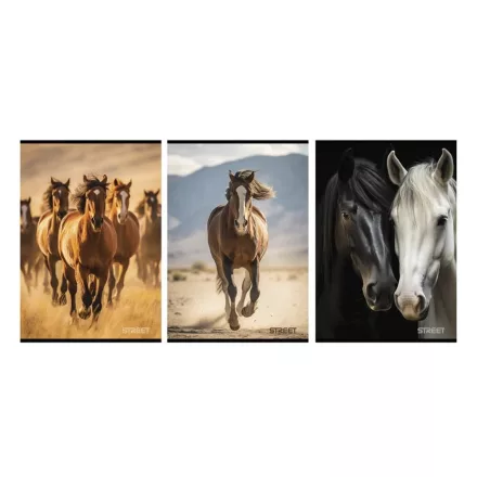 Füzet kockás STREET A/4 54 lapos Horses