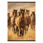 Füzet kockás STREET A/4 54 lapos Horses