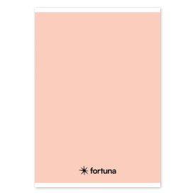   Füzet vonalas FORTUNA Monocolor A/5 32 lapos 21-32 4-8.osztályos pasztell barack