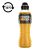 Sportital POWERADE Golden Mango 0,5L DRS