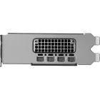 PNY RTX PRO 2000 Blackwell 16GB DDR7 OEM