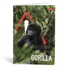 Füzet vonalas LIPAMILL A/4 40 lapos One colour