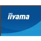 iiyama 23,8" ProLite XB2497HSN-B1 IPS LED