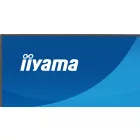iiyama 23,8" X2491H-B1 IPS LED