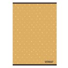 Spirálfüzet vonalas STREET Pad A/4 100 lapos pasztell zöld