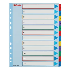   Regiszter ESSELTE A/4 maxi laminált karton újraírható 1-12