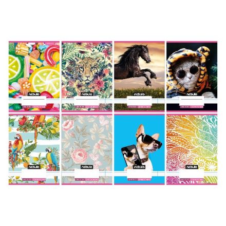 Füzet vonalas NEBULO A/5 32 lapos 21-32 4-8.osztályos Cuki II. 16 darabos