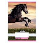 Füzet vonalas NEBULO A/5 32 lapos 21-32 4-8.osztályos Cuki II. 16 darabos