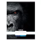 Füzet kockás NEBULO A/4 32 lapos 87-32 Xtreme 12 darabos