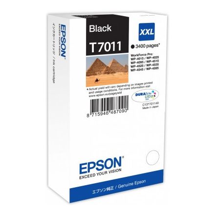 Epson T7011 XXL Black