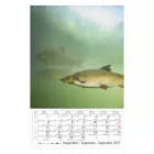 Falinaptár CSG 210x320mm álló Horgász 2027